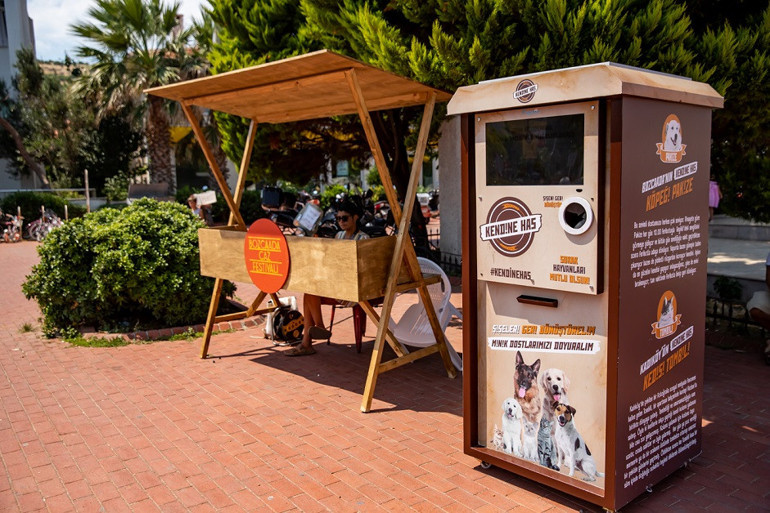 Bağbozumu öncesi, Tenedos’tan haberler