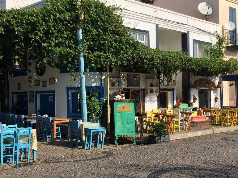 Bağbozumu öncesi, Tenedos’tan haberler