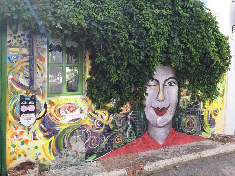 Bağbozumu öncesi, Tenedos’tan haberler