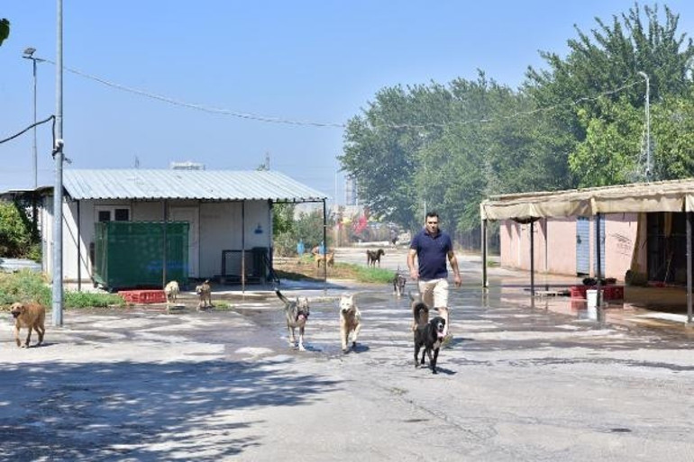 Son dakika... İzmirde palet fabrikasında yangın