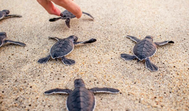 Rehber, blogger ve gazetecilerden oluşan jüri seçti Bayramda orada olsaydım...