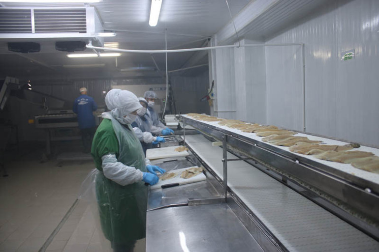 Denizli’den çıkıyor Tonlarcası dünyanın 80 ülkesine gönderiliyor