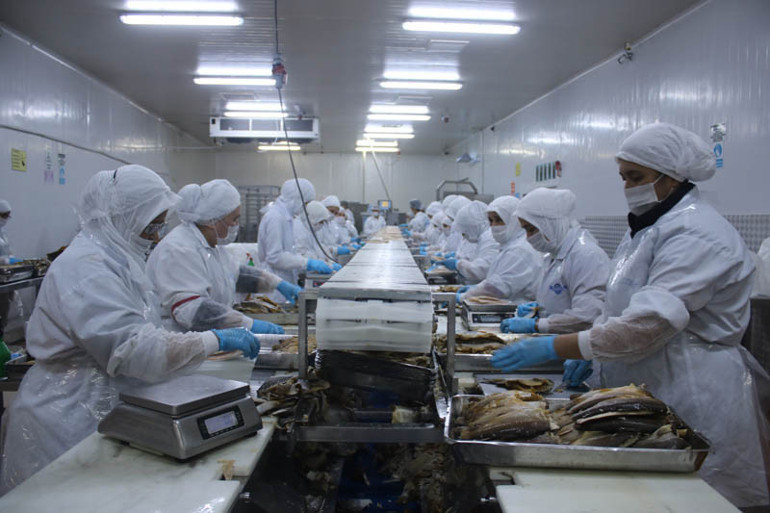 Denizli’den çıkıyor Tonlarcası dünyanın 80 ülkesine gönderiliyor