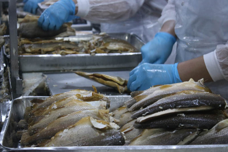 Denizli’den çıkıyor Tonlarcası dünyanın 80 ülkesine gönderiliyor