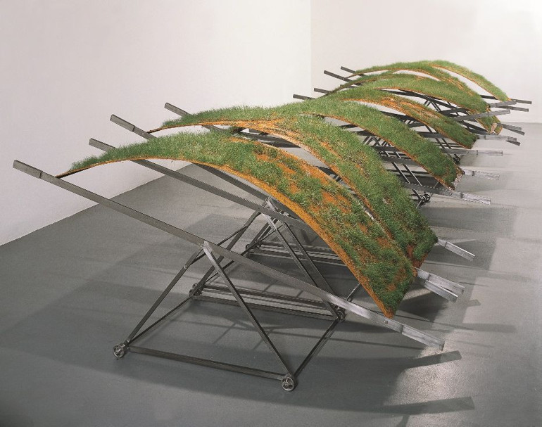 Canan Tolon söyledi şimdi ‘Sen Söyle’