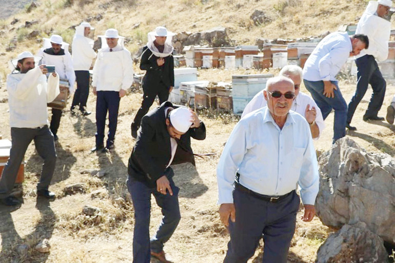 Kaçınnn ‘mahremsiz’ kadınlar saldırıyor