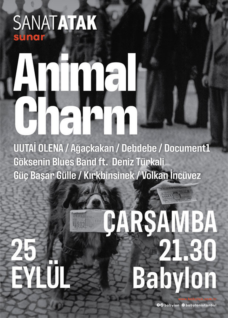 Sonbaharda yazlık yerler