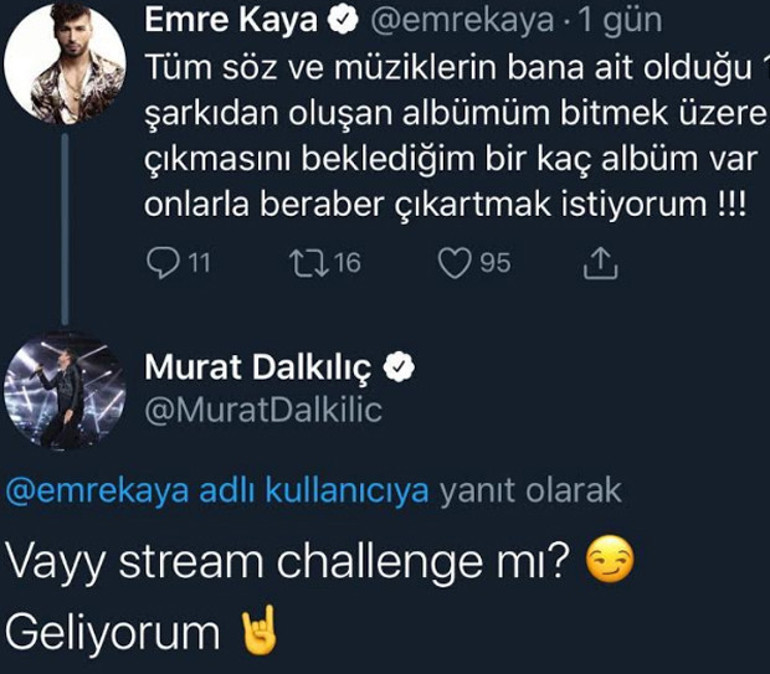 Sanatçı dostlarına meydan okudu