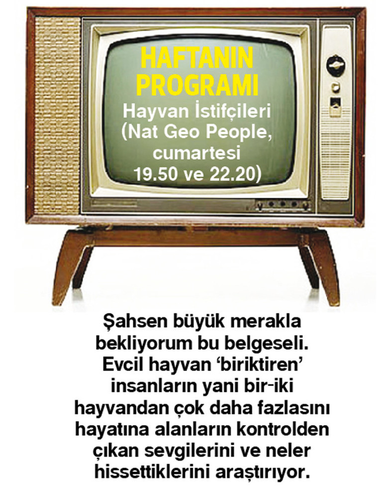 Kim sevmez aşk hikâyelerini