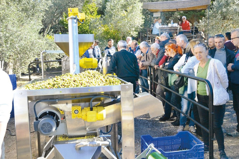 AB tescili alınırsa Ayvalık zeytinyağı fiyatı ikiye katlanır
