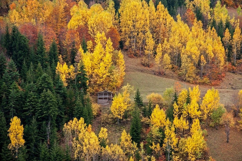 Artvin sonbaharda fotoğraf tutkunlarını cezbediyor