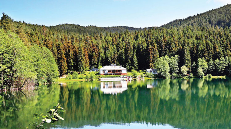 16 uzmandan güzel bir kış için 54 harika öneri