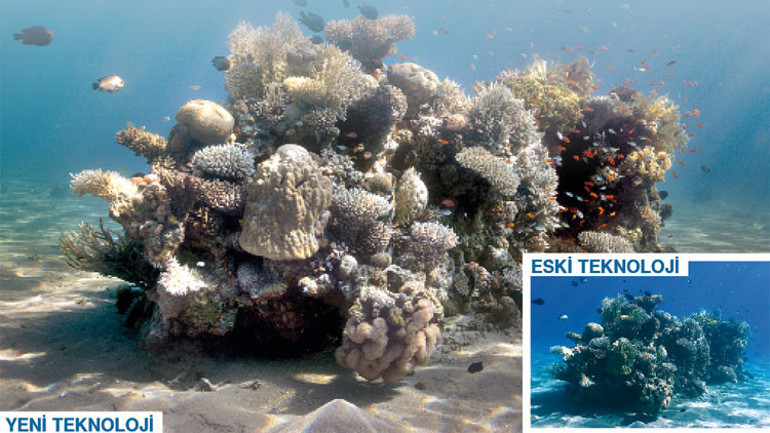 Aynı dünyayı  ‘susuz belgesellerde’ izleyeceğiz