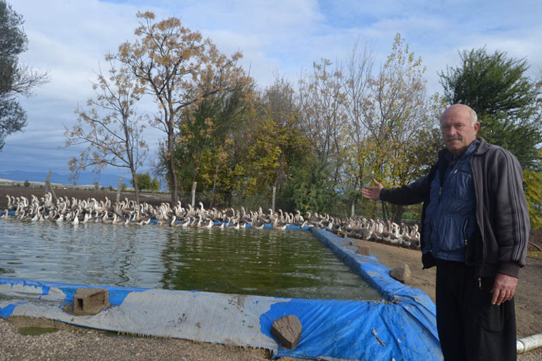 İnternetten ek iş araştırdı Şimdi sezonda 100 bin TL kazanıyor