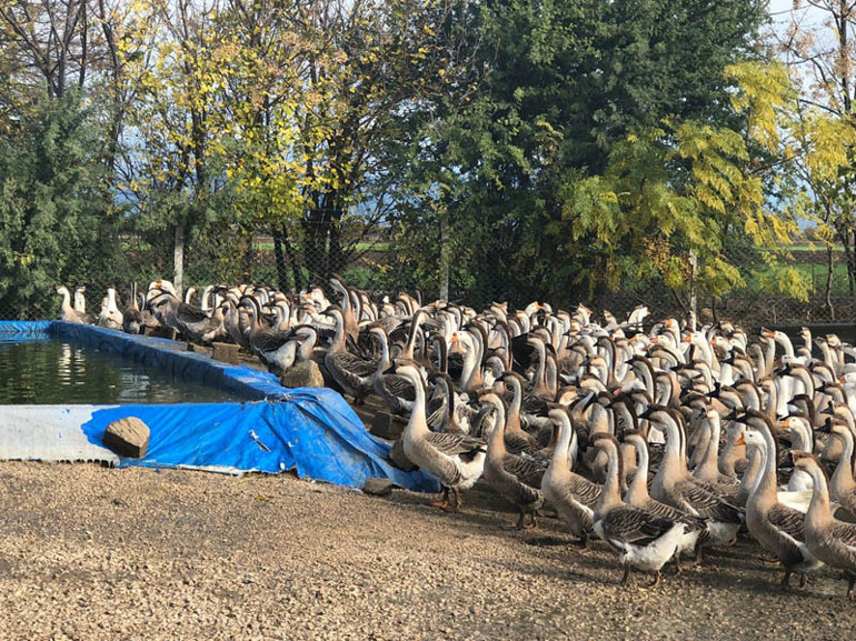 İnternetten ek iş araştırdı Şimdi sezonda 100 bin TL kazanıyor
