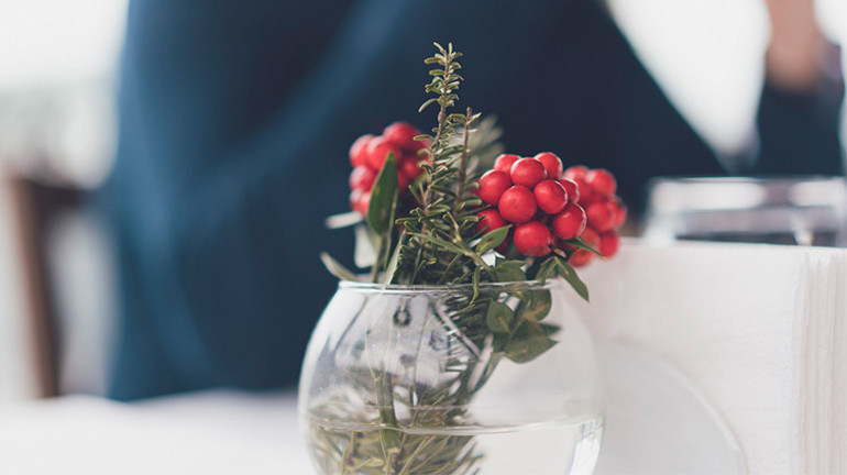 Yılbaşı Çiçeği: Kokina Çiçeğinin Uğuru