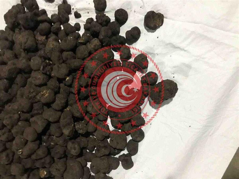 80 kilo trüf mantarı, ihale ile satışa çıkarıldı