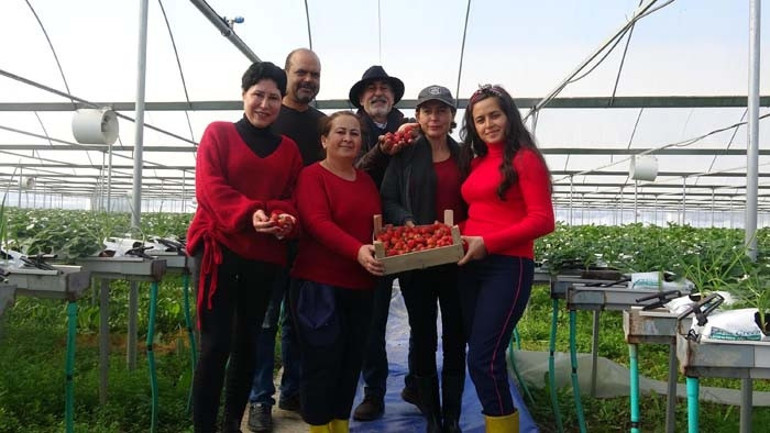 Fotoğrafçı ve profesör eşi el ele verdi Tonlarcasını satıyor...
