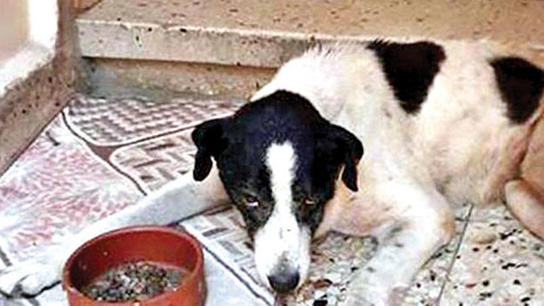 Suçlamaları reddetti