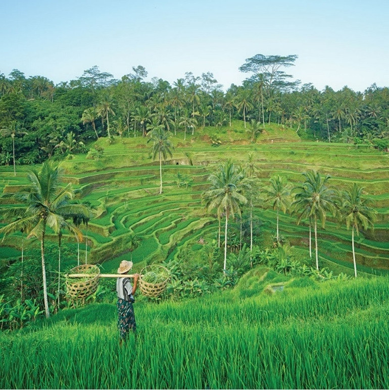 Bali’de bir parça huzur