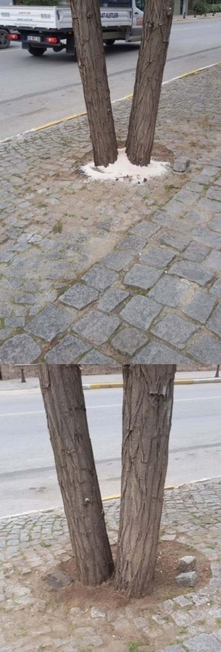 Her okula sağlıkçı atansın projesi