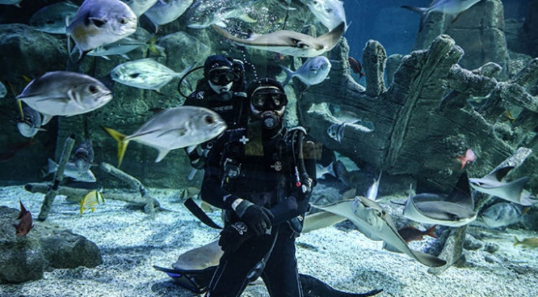 Sömestir tatilinde çocuklar İstanbul Akvaryuma akın etti