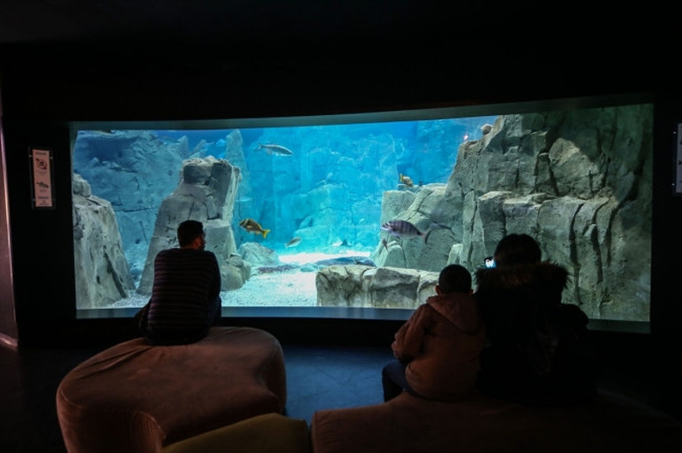 Sömestir tatilinde çocuklar İstanbul Akvaryuma akın etti