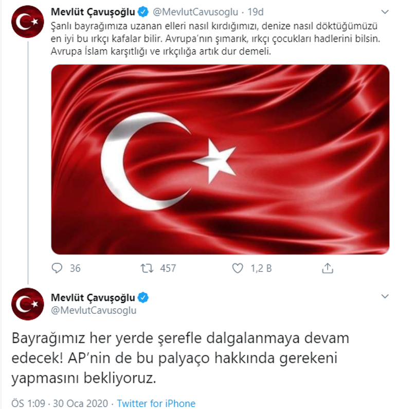 Son dakika haberler... Bakan Çavuşoğlundan Türk Bayrağını yırtan ırkçı vekile sert tepki