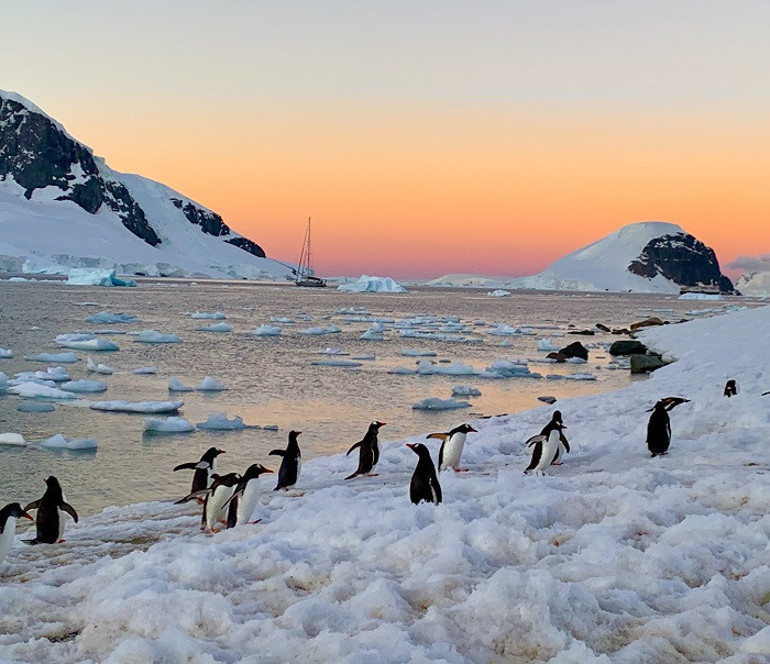Yelkenliyle Antarktikaya giden gezgin kadınlar Ayağımız kıtaya değdiğinde birbirimize bakıp ağladık