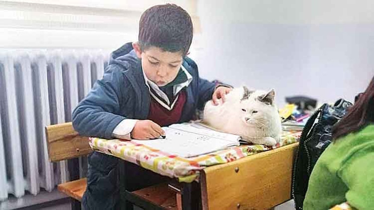 Pergel’in dostları okullarda