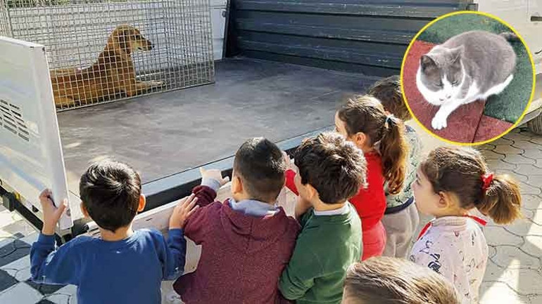 Pergel’in dostları okullarda