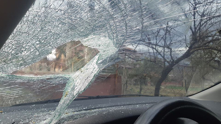 Selendide şiddetli rüzgar ağaçları devirdi