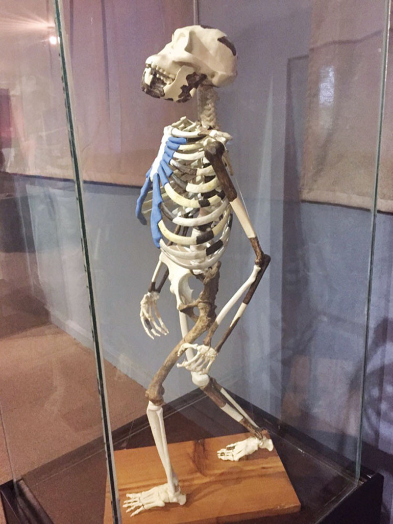 Yaradılışta bir de gay ve üçlü aşk hiyakesi varmış