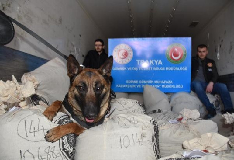 Son dakika haberler...  Kapıkulede ele geçirildi Ülke tarihinde bir rekor