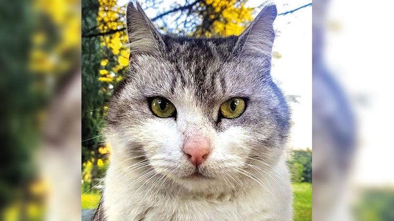 Ayrı bir dünya var bu gazetenin bahçesinde