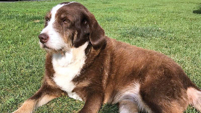 Ayrı bir dünya var bu gazetenin bahçesinde