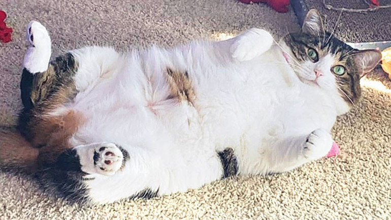 Ayrı bir dünya var bu gazetenin bahçesinde