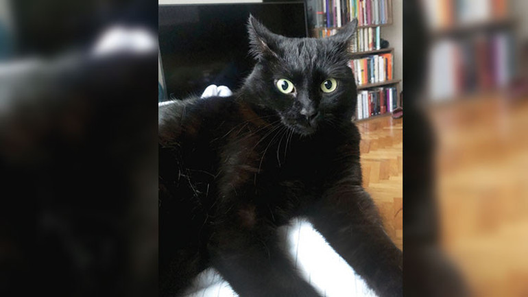 Ayrı bir dünya var bu gazetenin bahçesinde