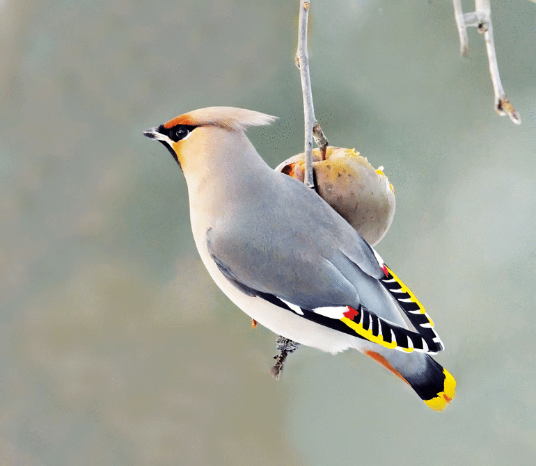 İtalyadan bir arkadaşım özellikle İzmire şunu diyor