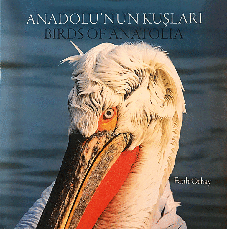 İtalyadan bir arkadaşım özellikle İzmire şunu diyor