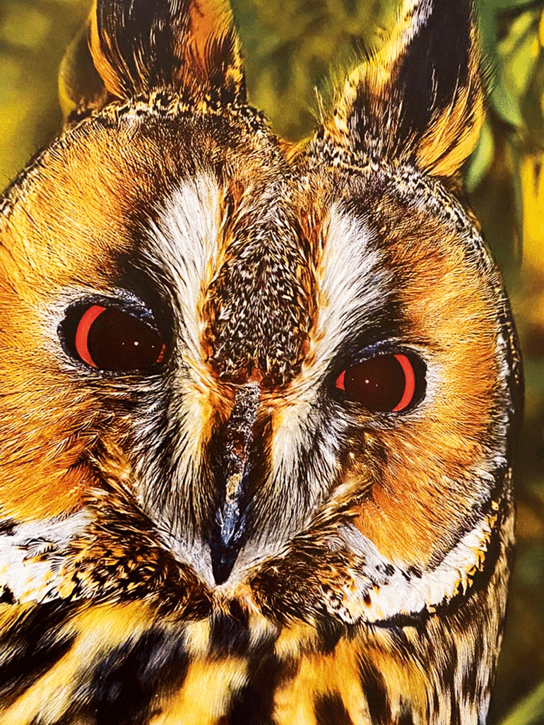 İtalyadan bir arkadaşım özellikle İzmire şunu diyor