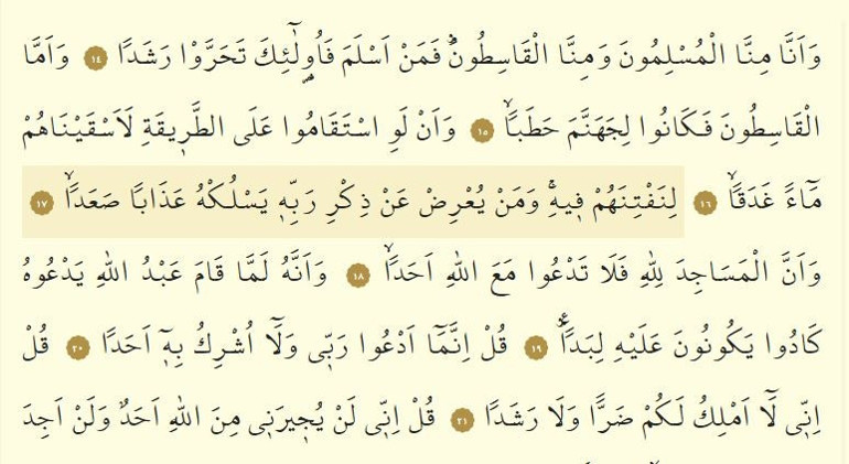 Cin Suresi Oku - Cin Suresi Anlamı, Tefsiri, Türkçe ve Arapça Okunuşu (Diyanet Meali)