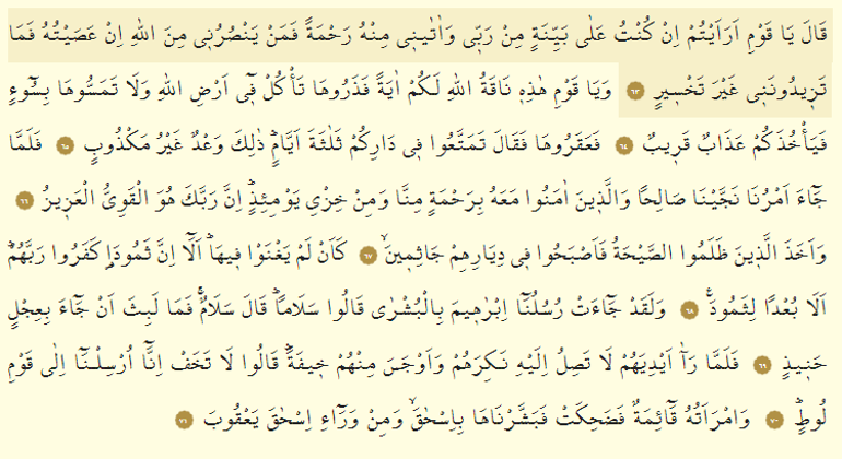 Hud Suresi Oku - Hûd Suresi Anlamı, Tefsiri, Türkçe ve Arapça Okunuşu (Diyanet Meali)