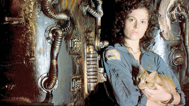 Gelecek de bir gün gelecek