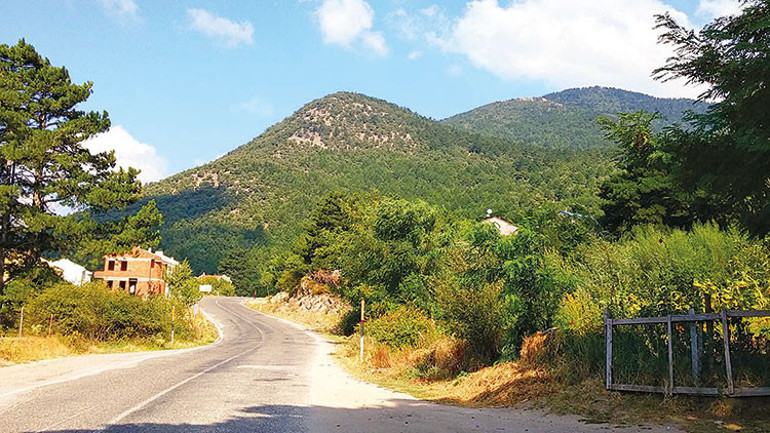 Gönül rahatlığıyla tatil yapmak için bilmek isteyeceğiniz her şey