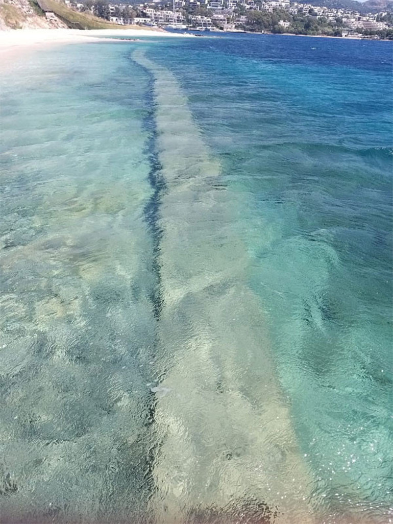 Tüyler ürperten manzara Belediyeye şikayet yağıyor...