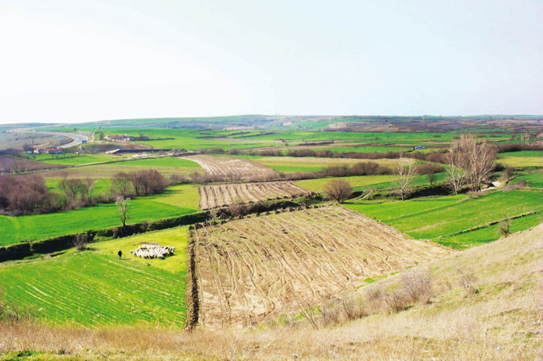 Fındıkta yeni sezonun oyunları