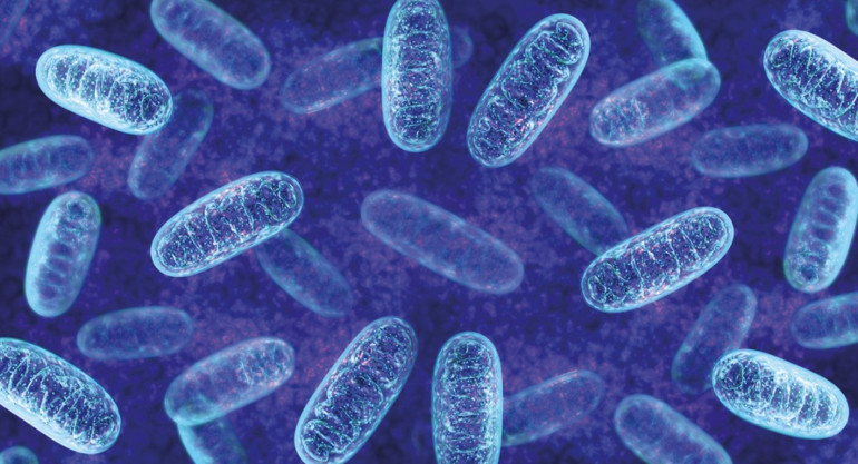 Pandemiye dayanıklı mısınız