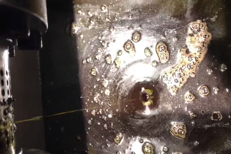 700 tondan sadece 500 litre yağ çıkıyor…E vitamini deposu üzüm yağının litresi 640 liradan satılıyor…