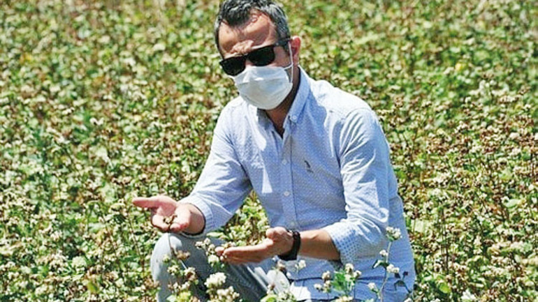 Çeşme’den tıbbi bitki atağı